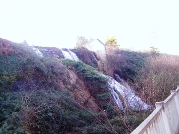 Con el objetivo de recuperar y poner en valor su biodiversidad 