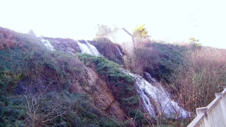 Con el objetivo de recuperar y poner en valor su biodiversidad 