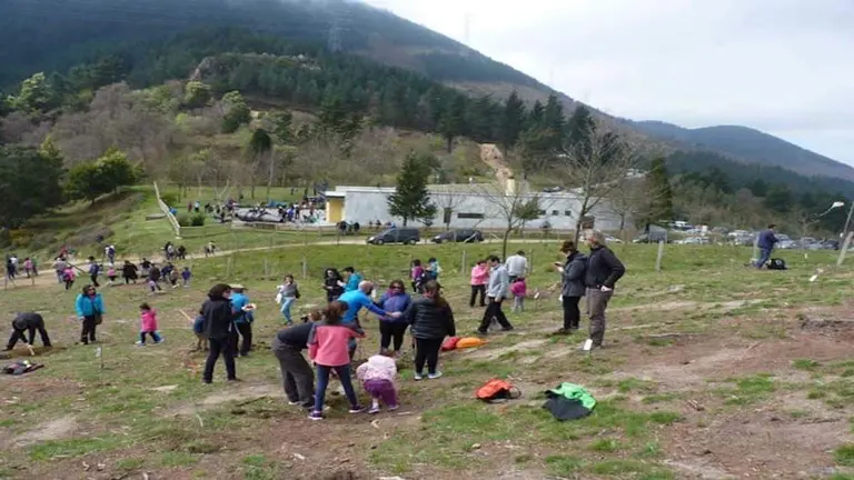plantaciones &aacute;rboles ortuella
