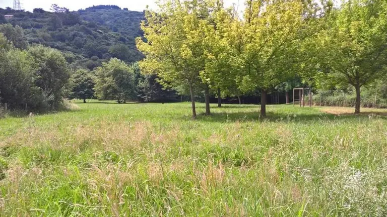 Se crear&aacute; un espacio verde deportivo, de ocio y recreativo 