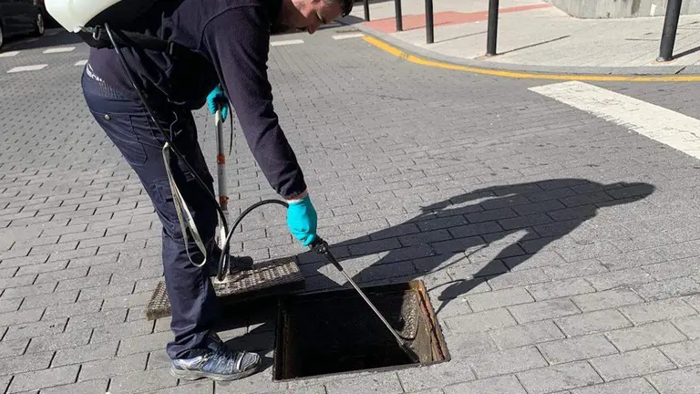 control-plagas-ortuella